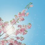 ももスキンケアクリニック