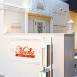 豊田マリアクリニック