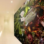 TCB東京中央美容外科 鹿児島院