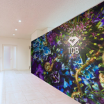 TCB東京中央美容外科 品川院