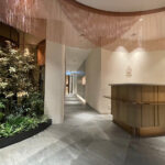 聖心美容クリニック銀座院