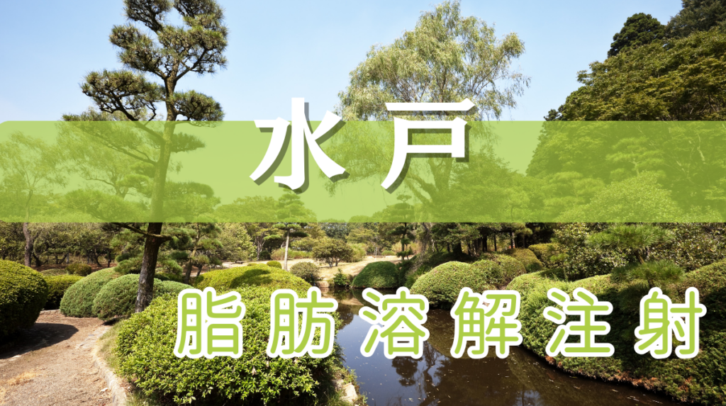 水戸 脂肪溶解注射