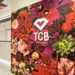 TCB東京中央美容外科 本厚木院