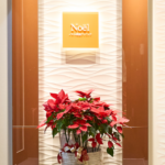 ノエル銀座クリニック