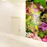 TCB東京中央美容外科 高崎院