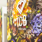 TCB東京中央美容外科 福山院