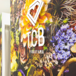 TCB東京中央美容外科 福山院