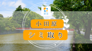 シミ取り 小田原　安い