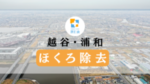 ほくろ 除去 越谷　浦和　安い