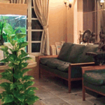 美夏クリニック