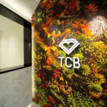 TCB東京中央美容外科 福井院