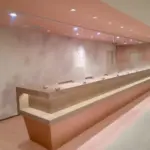 品川スキンクリニック 札幌院