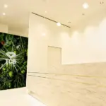 TCB東京中央美容外科 熊本院