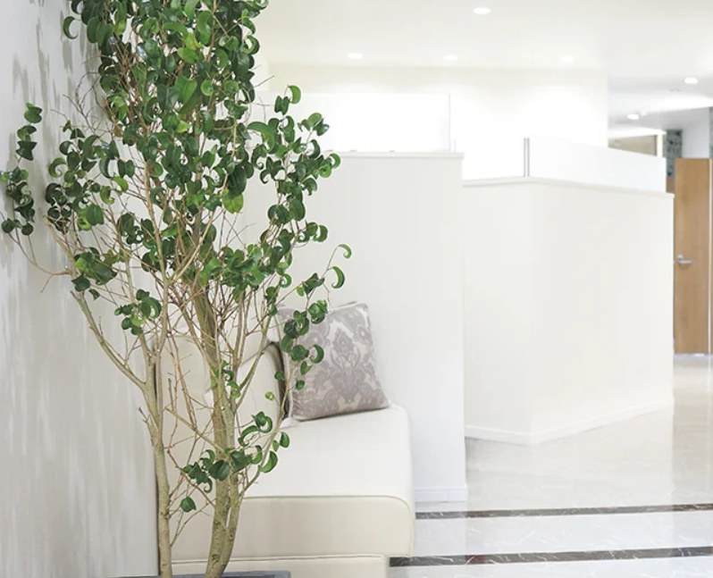 クリニックの様子