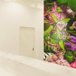 TCB東京中央美容外科 高崎院